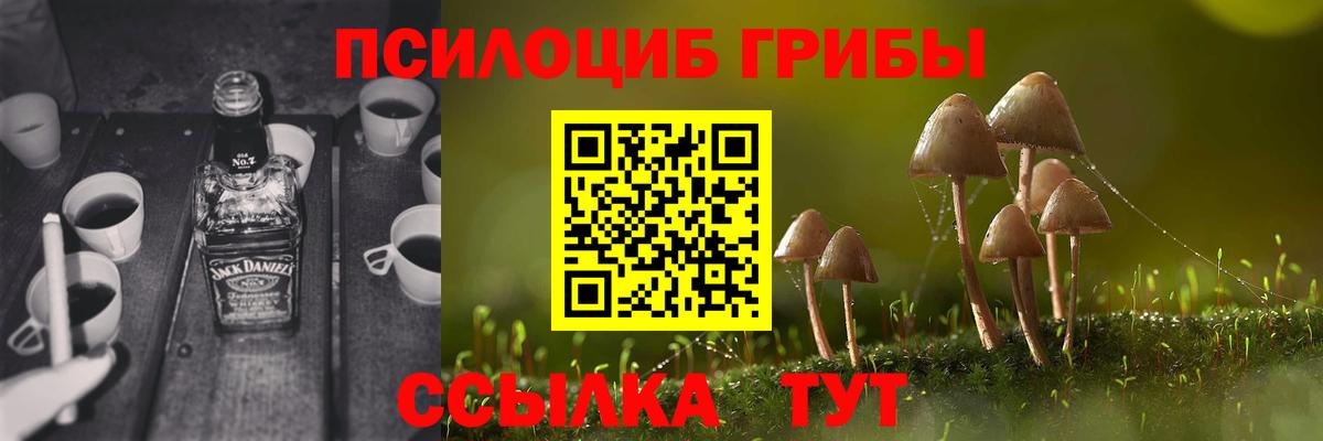 Псилоцибиновые грибы MAGIC MUSHROOMS  Вход с VPN  Ухта 
